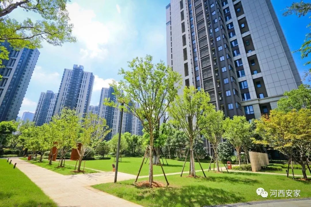 江心洲摇中了买吗？手握700万的人纠结到失眠
